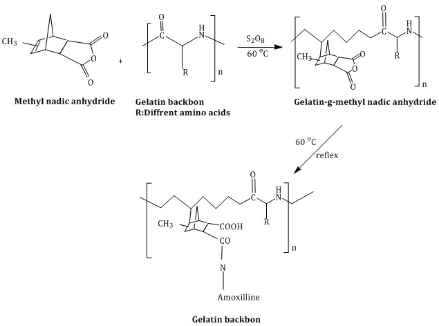 gelatin structure