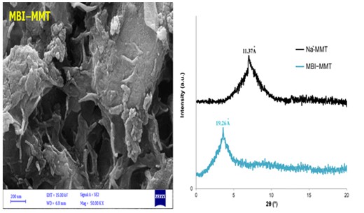 Modification of montmorillonite clay with 2-mercaptobenzimidazole and investigation of their antimicrobial properties 