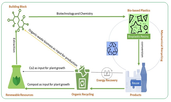 Development and sustainability of bioplastics: A review 