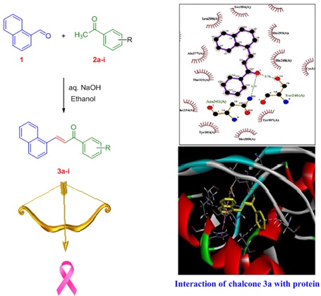 Synthesis, Molecular Docking, and Biological Evaluation of Some New Naphthalene-Chalcone Derivatives as Potential Anticancer Agent on MCF-7 Cell Line by MTT Assay 